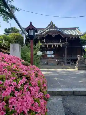 白山神社(東京都)