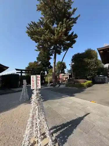 中野沼袋氷川神社の{uncategorized: "未分類", other: "その他", undefined: "問題あり", building: "その他建物", grave: "お墓", sacred_gate: "鳥居", guardian: "狛犬", statue: "像", buddha: "仏像", history: "歴史", nature: "自然", garden: "庭園", animal: "動物", pagoda: "塔", temizu: "手水舎", mountain_gate: "山門・神門", sanctuary: "本殿・本堂", subordinate: "末社・摂社", art: "芸術", scenery: "景色", jizo: "地蔵", ema: "絵馬", goshuin: "御朱印", omikuji: "おみくじ", items: "授与品その他", amulet: "お守り", goshuincho: "御朱印帳", eats: "食事", festival: "お祭り", votive_dance: "神楽", shichigosan: "七五三参", wedding: "結婚式", experience: "体験その他", initially: "初詣", around: "周辺", anti_infection: "感染症対策"}