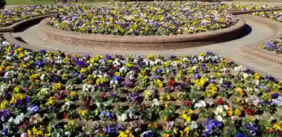 庚申神社(千葉県)