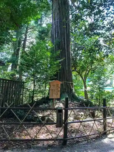 須佐神社の庭園