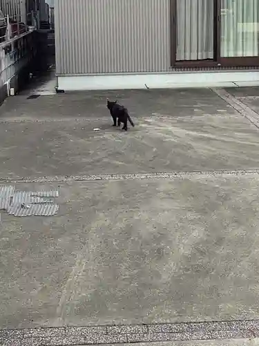 御井神社の周辺