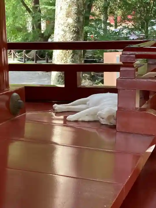 伊豆山神社(静岡県)