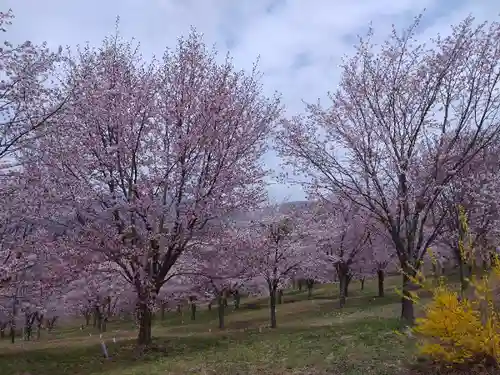 土津神社｜こどもと出世の神さま(福島県)