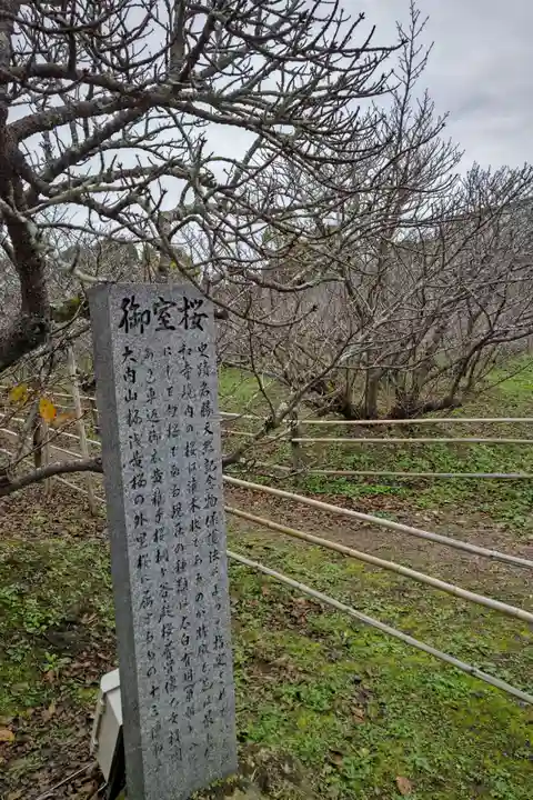 仁和寺(京都府)