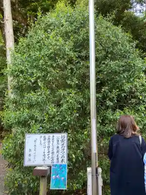 息栖神社(茨城県)