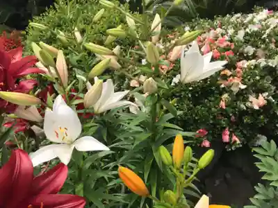 延命寺(神奈川県)