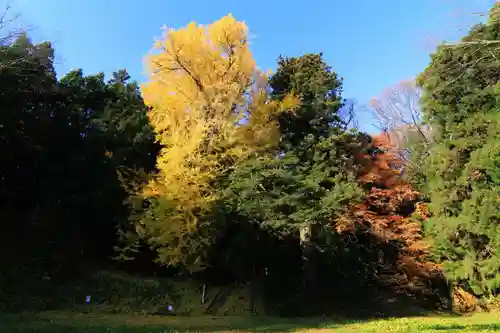 乙宿禰神社の周辺