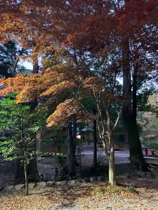 武蔵一宮氷川神社のその他建物