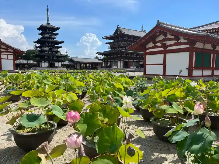 薬師寺(奈良県)
