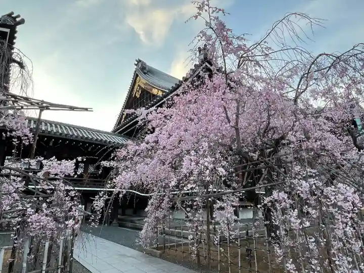 佛光寺(京都府)