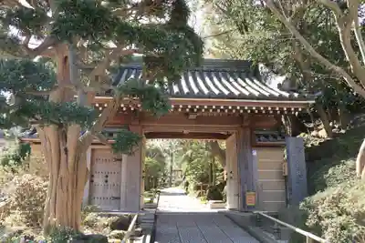 報国寺(神奈川県)
