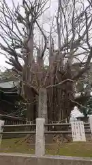 葛飾八幡宮の建物その他