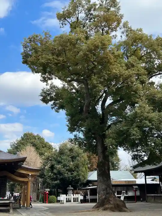 鷲宮神社のその他建物