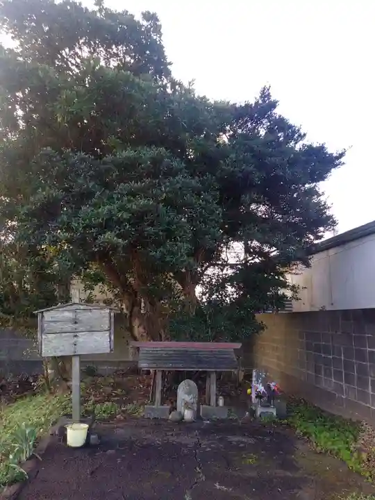 じゃらんぼ遺跡のその他建物