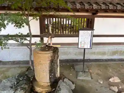 蓮馨寺(埼玉県)