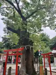 新田神社(東京都)