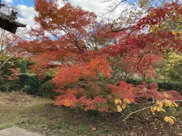 鷲峰寺(香川県)