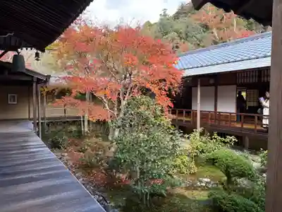 安楽寺(京都府)