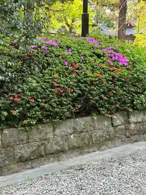 大崎八幡宮(宮城県)