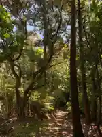 大宮神社の周辺