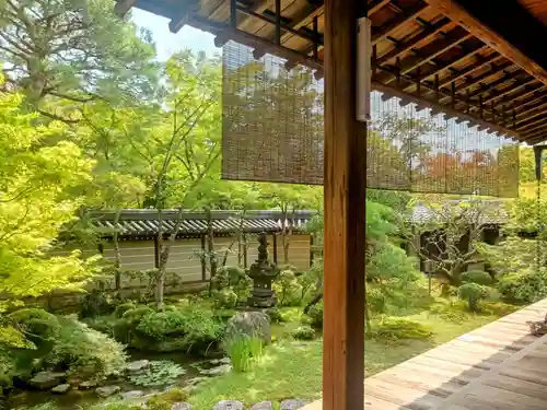 禅林寺（永観堂）(京都府)