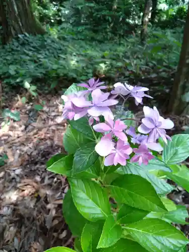 狭野神社(宮崎県)