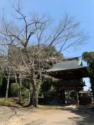 東祥寺(千葉県)