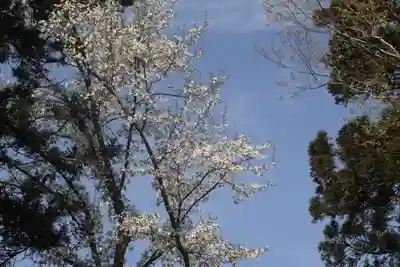 菅布禰神社の自然