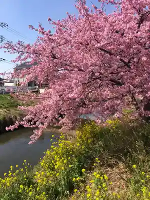 鷲宮神社(埼玉県)