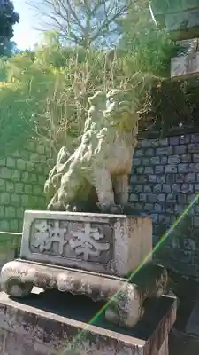 品川神社の狛犬