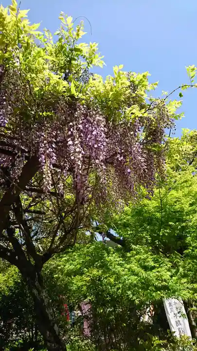 與止日女神社の自然