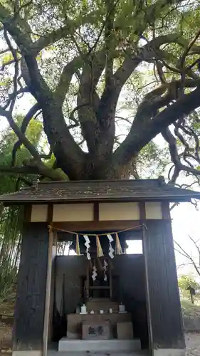 岩椿神社(岡山県)