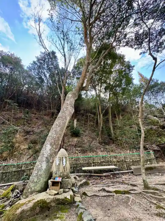 早瀧比咩神社(岡山県)