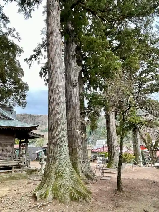 日枝神社(静岡県)