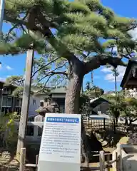 西福寺(開運不動尊)の自然