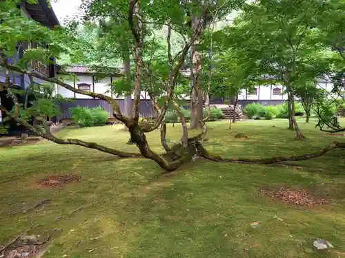 雲洞庵(新潟県)