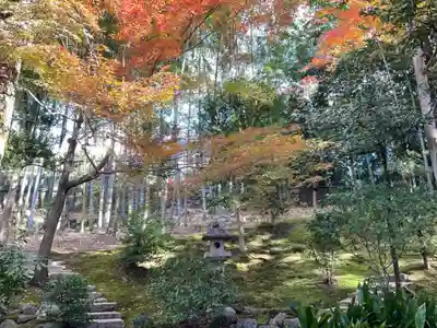 榮攝院（栄摂院）(京都府)