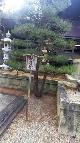 白國神社(兵庫県)