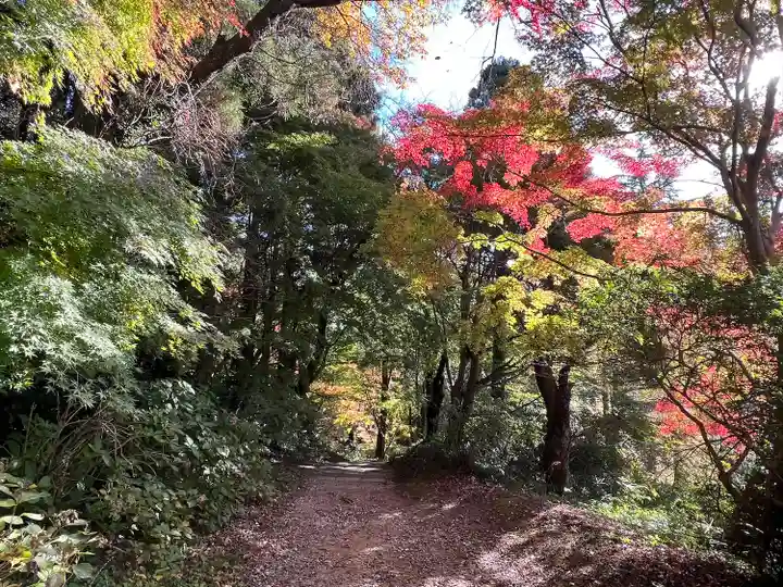 香取神宮(千葉県)