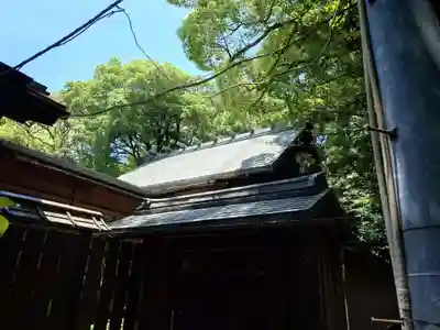 宇都宮二荒山神社の本殿・本堂