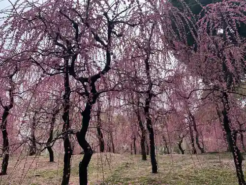 城南宮(京都府)