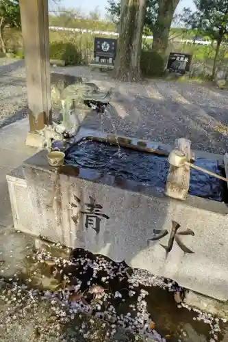 白髭神社の手水