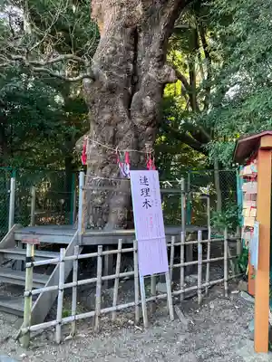 城山八幡宮(愛知県)