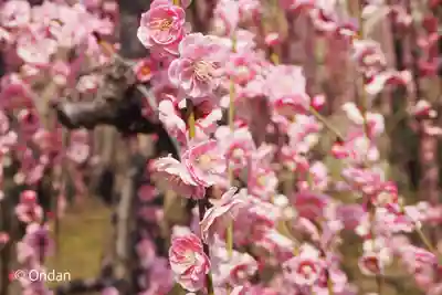 城南宮(京都府)