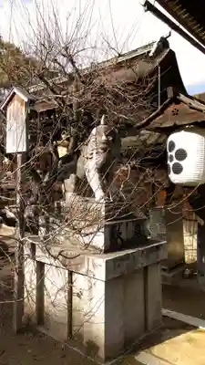 北野天満宮の狛犬