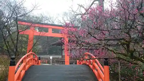 賀茂御祖神社（下鴨神社）の鳥居