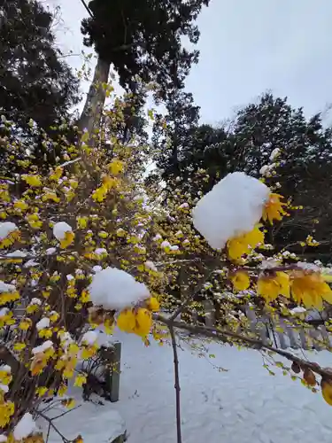 沙沙貴神社(滋賀県)