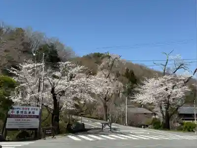 宝登山神社(埼玉県)