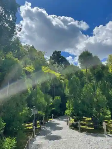 龍安寺の{uncategorized: "未分類", other: "その他", undefined: "問題あり", building: "その他建物", grave: "お墓", sacred_gate: "鳥居", guardian: "狛犬", statue: "像", buddha: "仏像", history: "歴史", nature: "自然", garden: "庭園", animal: "動物", pagoda: "塔", temizu: "手水舎", mountain_gate: "山門・神門", sanctuary: "本殿・本堂", subordinate: "末社・摂社", art: "芸術", scenery: "景色", jizo: "地蔵", ema: "絵馬", goshuin: "御朱印", omikuji: "おみくじ", items: "授与品その他", amulet: "お守り", goshuincho: "御朱印帳", eats: "食事", festival: "お祭り", votive_dance: "神楽", shichigosan: "七五三参", wedding: "結婚式", experience: "体験その他", initially: "初詣", around: "周辺", anti_infection: "感染症対策"}