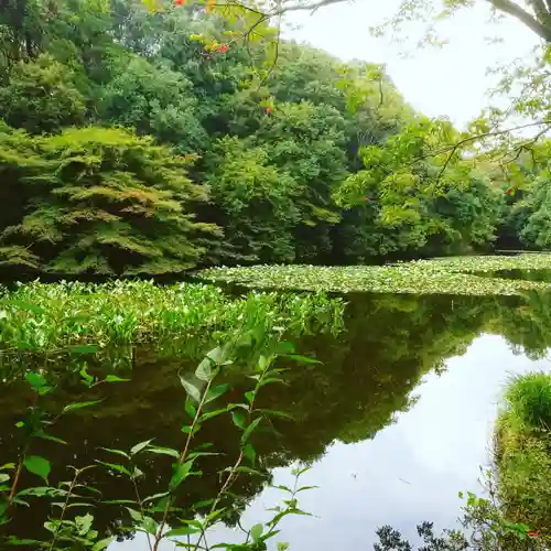 明治神宮の庭園